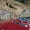 LANCIA Fulvia coupe 1.3 s - 1973